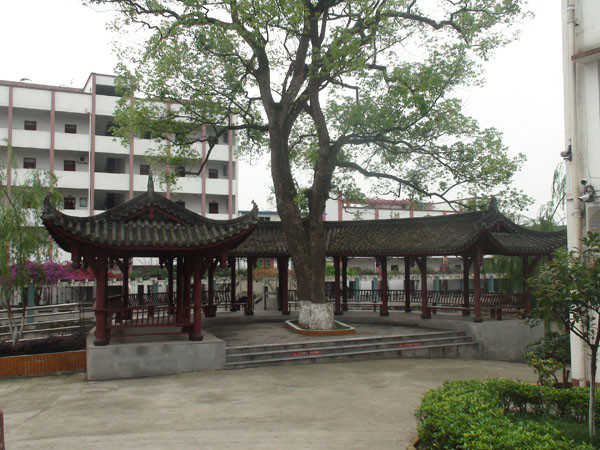 合江县先市职业高级中学校图片,照片「学校环境介绍」